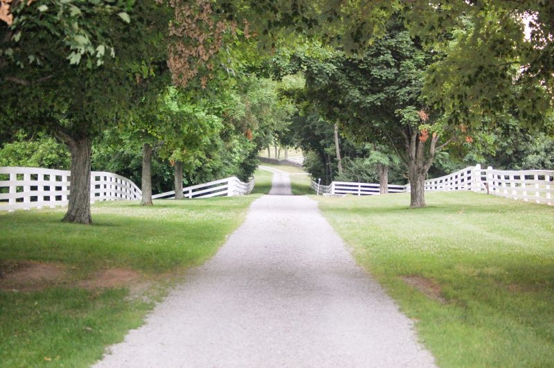 Benefits Of Brick And Stone Driveways For Commercial Properties